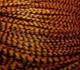 WFR-Grizzly-Burnt-Orange.jpg