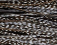 dun-grizzly Whiting Rooster Dun Grizzly Fly Tying Hackle